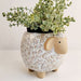 sheep pot planter for indoors