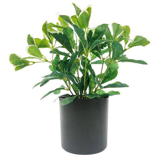 artificial plant for indoors
