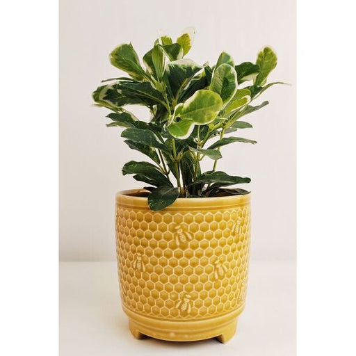 bee themed planter pot