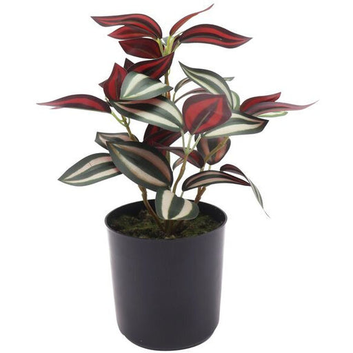 artificial potted zebra plant for indoors