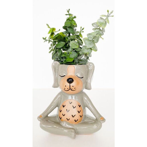 quirky puppy dog doing yoga vase for flowers and plants