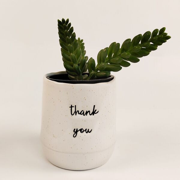 thank you planter pot for indoor plants