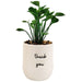 thank you plant gift artificail indoor plant