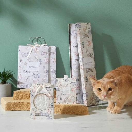 scented smelly cat gifts