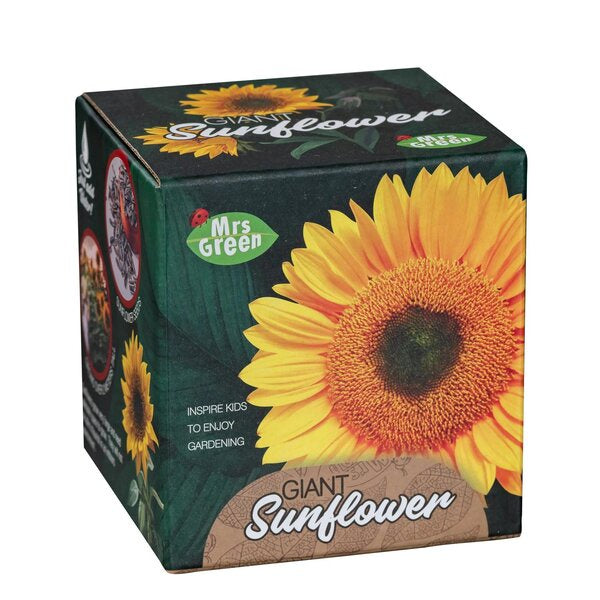 giant sunflower grow your own