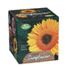 giant sunflower grow your own