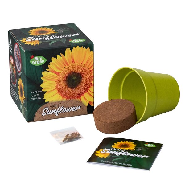 grow a sunflower kit