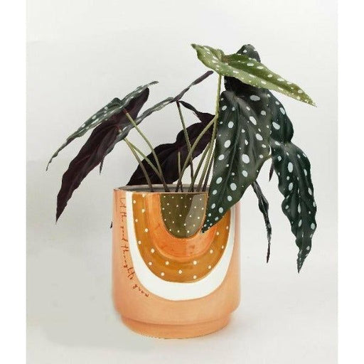 terracotta and green planter with quote