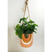 terracotta and green hanging planter with quote