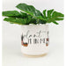 plant it in me quote on planter pot