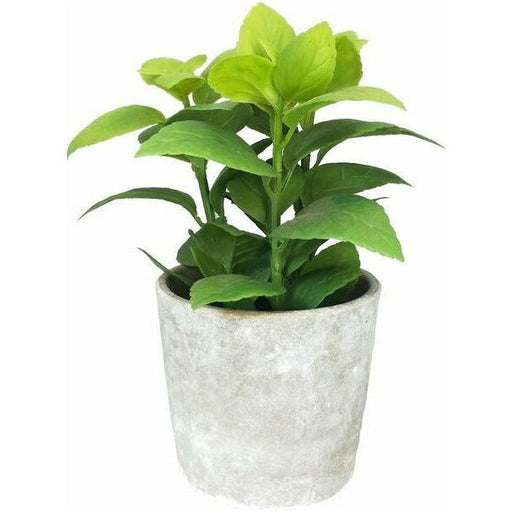 artificial basil potted plant