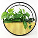 rattan circle wall planter